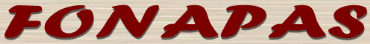 servicios
